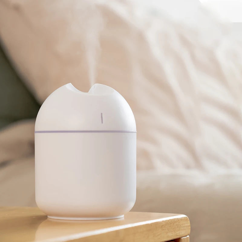 Mini USB Humidifier & Diffuser."